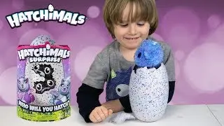 Opening a Hatchimal Peacat - Fun Kids Toy