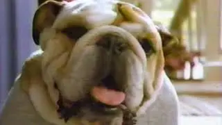 1980s TV Commercials Vol. 6