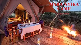 Masai Mara Great Migration at Mara Nyika Luxury Camp - Absolutely amazing! - $3500/night