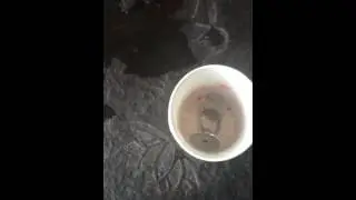 Burst Testing of ZST Fire Sprinkler