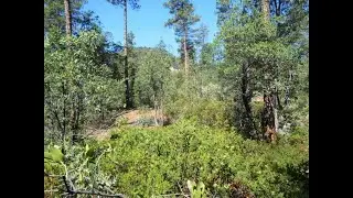 Commercial for sale - 69 Forest Court, Pine, AZ 85544