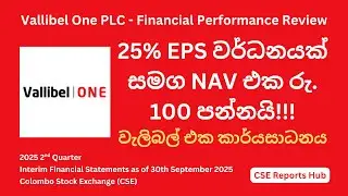Vallibel One PLC Q2 Financial Highlights & Insights | VONE.N Earnings Surge | CSE Reports Hub