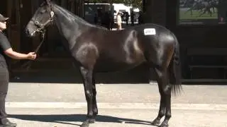 Pat Hyland Racing lot 287
