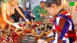 ĐẶC BIỆT VỀ QUÁN THỊT CHÓ NHUNG THÔNG TUỔI ĐỜI BÁN 60 NĂM RẤT ĐƯỢC NHIỀU NGƯỜI
