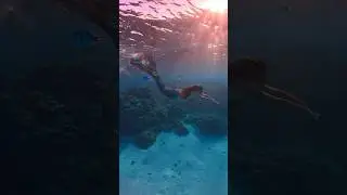 Professional mermaid swimming in Tahiti ✨🧜&zwj;♀️ #mermaid #verobeachmermaid