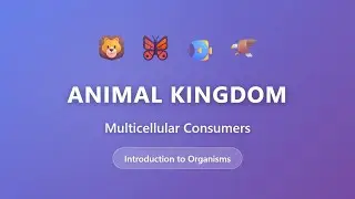 Animal Kingdom Explained: Multicellular Consumers | Biology Basics for Beginners