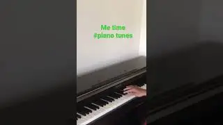 #pianotunes #pianomusic #metimemoment #livewith meinjapan