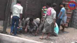 koshi alok news araria