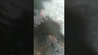 Godzilla bafo at&ocirc;mico