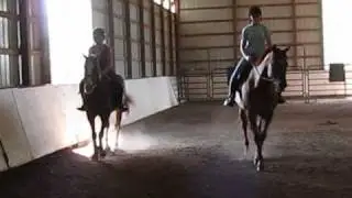 Horse Riding - My very long story...