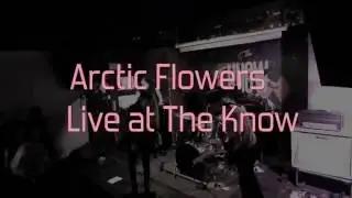 Arctic Flowers -