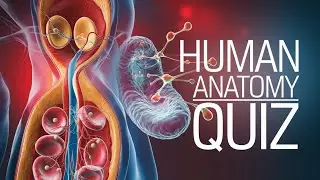 Key Facts about Cells, Tissues, and Human Biology | 20 MCQ | MCQuiz Byte