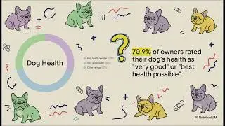 The French Bulldog Paradox - Why we are sometimes blind to their health issues