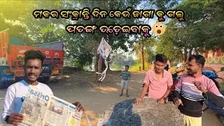 Makar Sankranti Dina Kenu Jaga Ku Galu Patanga Udeibaku 😳