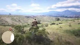 Red Dead Redemption : Bear Skin