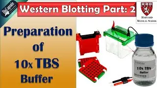 Western Blotting Part 2: 10 X TBS buffer preparation