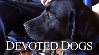 ViewFinder: Devoted Dogs