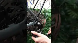 Укороченная ось Steady Ride 20