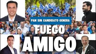 FUEGO AMIGO ENTRE PANISTAS