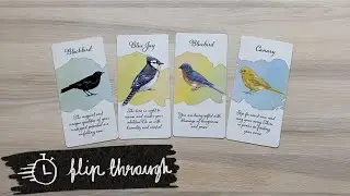 Divine Feather Messenger Flip Through