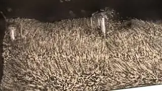 Paddle Mixer 1