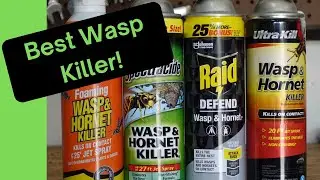 Deadly Showdown: 4 Wasp & Hornet Killers Face Off