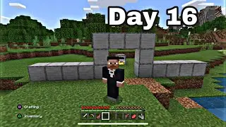 Day 16 of building a Minecraft house one block per day!