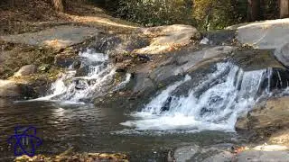 Nature Video, Hiking Trail. Oakhurst California. Please &ldquo;subscribe&rdquo;