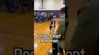 🐕🌱 Sometimes belonging starts quietly #animal #dog #adoption