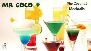 MR COCO FRANCHISE