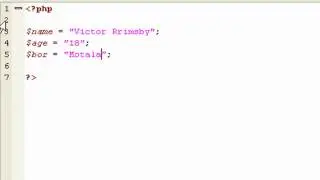 PHP grunder (include, variables, echo, string, if, else, file_exists)