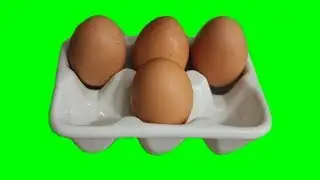 How to make Egg Trays at home