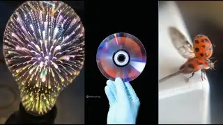Intersting Video #1 Almora Bulb, Microscopic View, Vortex