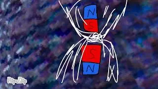Why Magnet Block Magnet? #sciencefacts 