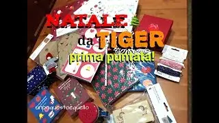 Haul TIGER Natale 🐯🎄 prima puntata!