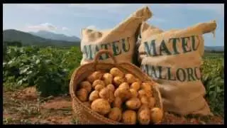 Mateu Export - Geschichte der Ausfuhr von Kartoffeln aus Sa Pobla (Mallorca)