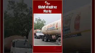 सिरोही में हाईवे पर गिरा पेड़, यातायात प्रभावित | Heavy Rain | Sirohi | Waterlogging | Tree Uprooted