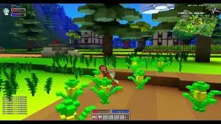 CubeWorld - 1 - The Basics