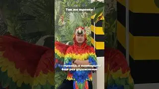 Когда ты тренер, ты немного&hellip;. Всё сразу 😂😂😂 #тренировки #спорт #юмор