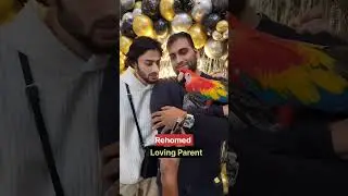 Scarlet Macaw - Rehomed on Birthday | Shaikh Tanveer | Bird Training