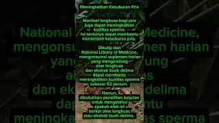 Manfaat Lengkuas #pengikut #tips #viral #kesehatan #jangkauanluas #sorotan #fyp