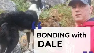 how do I establish a bond with my working dog?