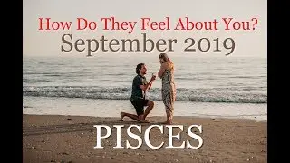 PISCES How Do They Feel? SEPTEMBER 2019 - Love Horoscope & Tarot