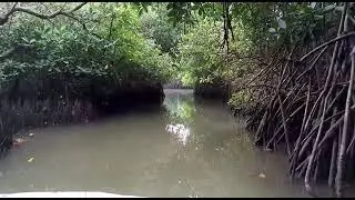 2016 March trip to Chidambaram with parents & family 