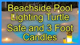 Beachside Pool Lighting Turtle Safe and 3 Foot Candles