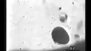 Deta Elis device Killing Parasites