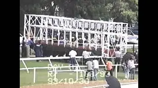 Experimental Stakes - Coco Cherile