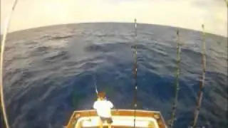 Ultra Light Tackle World Record Hunting aboard Bite Me