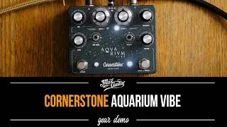 Best VIBE on the Market!! - Cornerstone Aquarium
