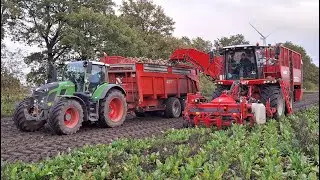 Bieten 2025 | Vervaet Q 616 | Fendt 620 met Vaia kipper | Grote bieten | Beet Harvest